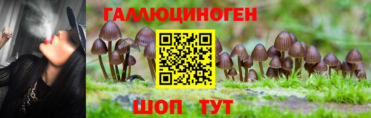 Люберцы  Галлюциногенные грибы мицелий  Вход с VPN 
